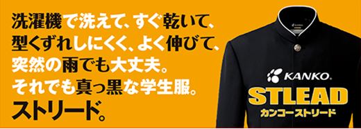 stlead_pic1.png