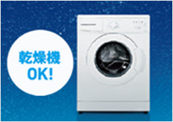 drywash_pic2.png
