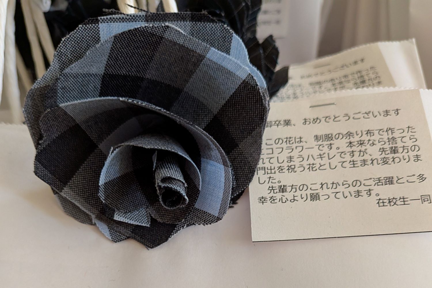 01 今治市立西中学校.jpg