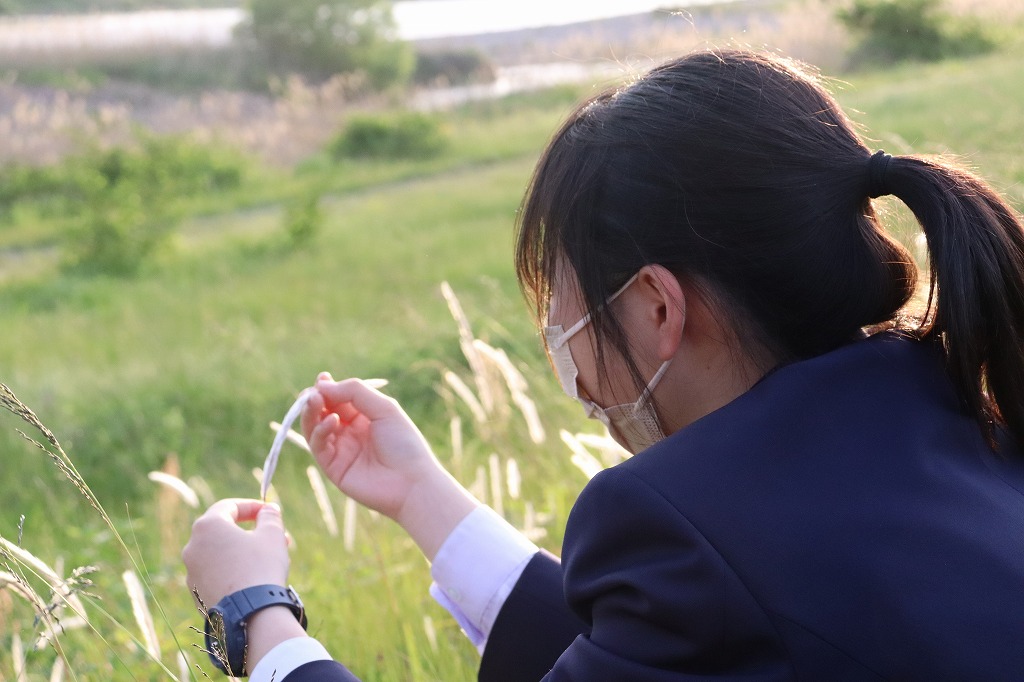 松山中央高等学校(愛媛県) データ KANKO 学校制服フォトライブラリー