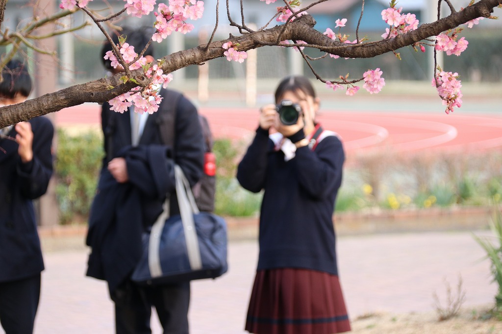 共愛学園高等学校(群馬県) データ KANKO 学校制服フォトライブラリー