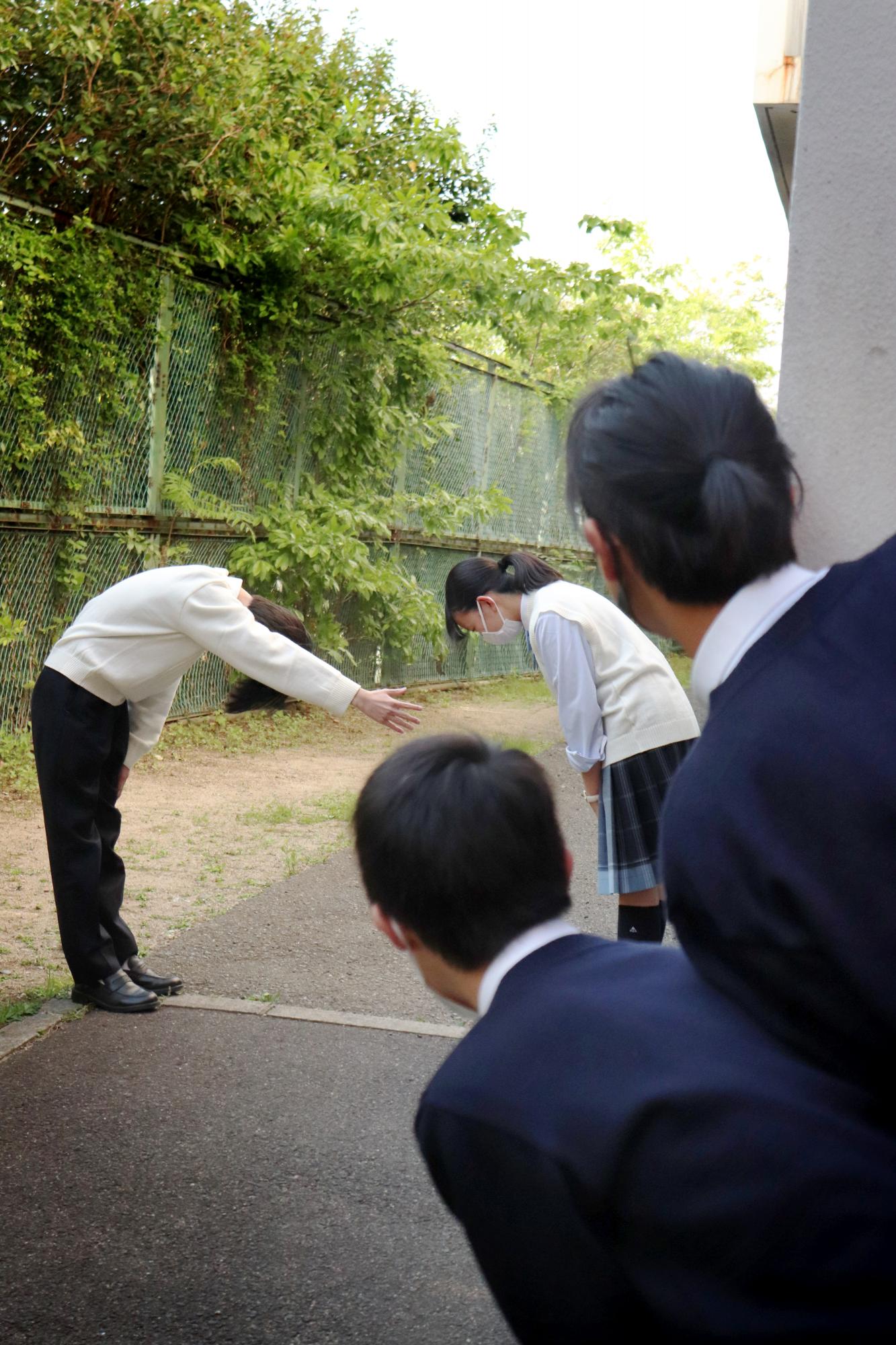 神戸国際大学附属高等学校(兵庫県) データ KANKO 学校制服フォトライブ